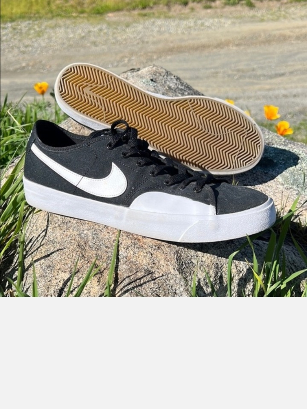 Nike SB BLZ Court Black Canvas Low-Top Sneakers with White Swoosh